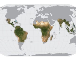 Mapa do Desmatamento