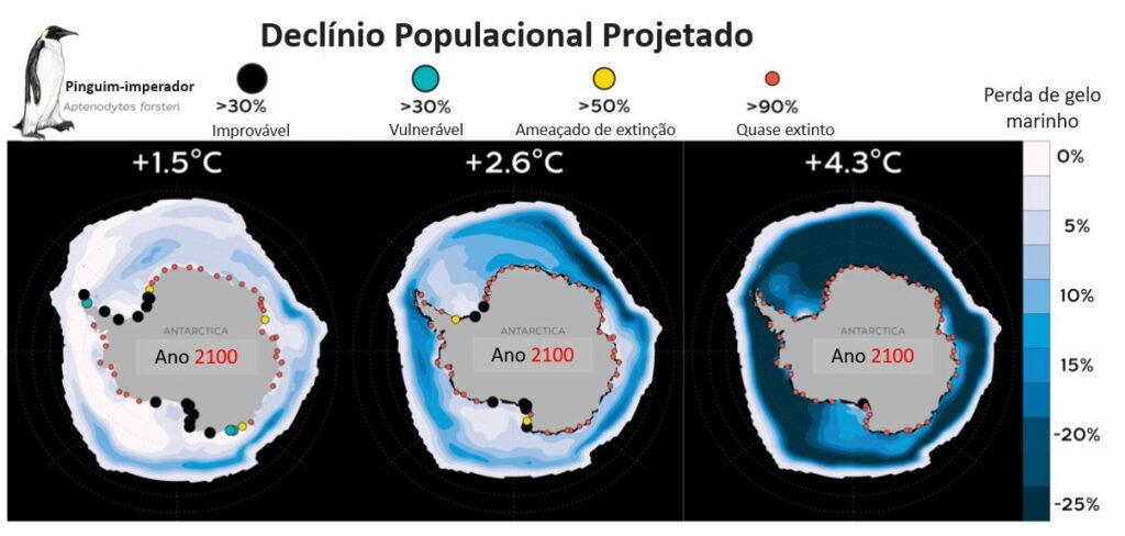 O status projetado das colônias de pinguins-imperador em 2100 e a mudança média anual das concentrações de gelo marinho entre os séculos 20 e 21. Fonte: Natalie Renier / WHOI, Jenouvrier et al. 2021.