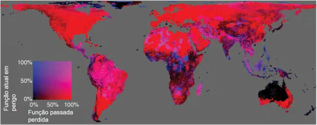 Áreas com coloração vermelha mais brilhante perderam mais função de dispersão de sementes de rastreamento climático. Áreas com coloração azul mais brilhante podem perder mais de sua função de dispersão de sementes remanescentes se as espécies ameaçadas forem extintas. Fonte: Fricke et al., 2022, CC BY-ND.
