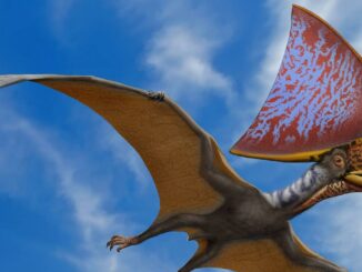 Livros encontrados sobre PTERODACTYL A AMEAÇA JURASSICA