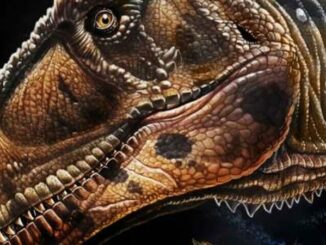 O que é científico - e o que é invenção - em 'Jurassic Park' - BBC News  Brasil